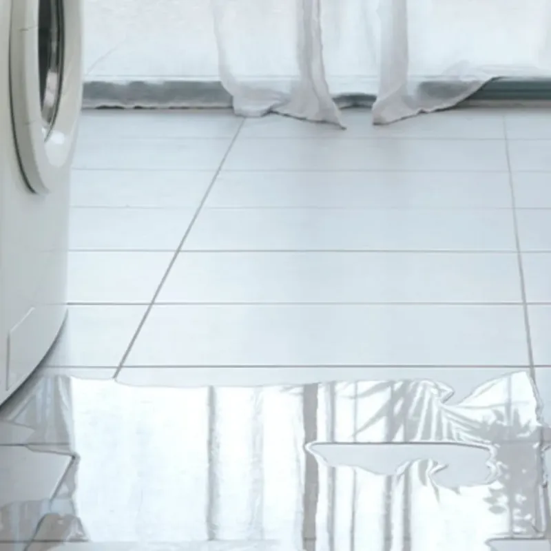 Appliance Leak Cleanup in Pine, AZ