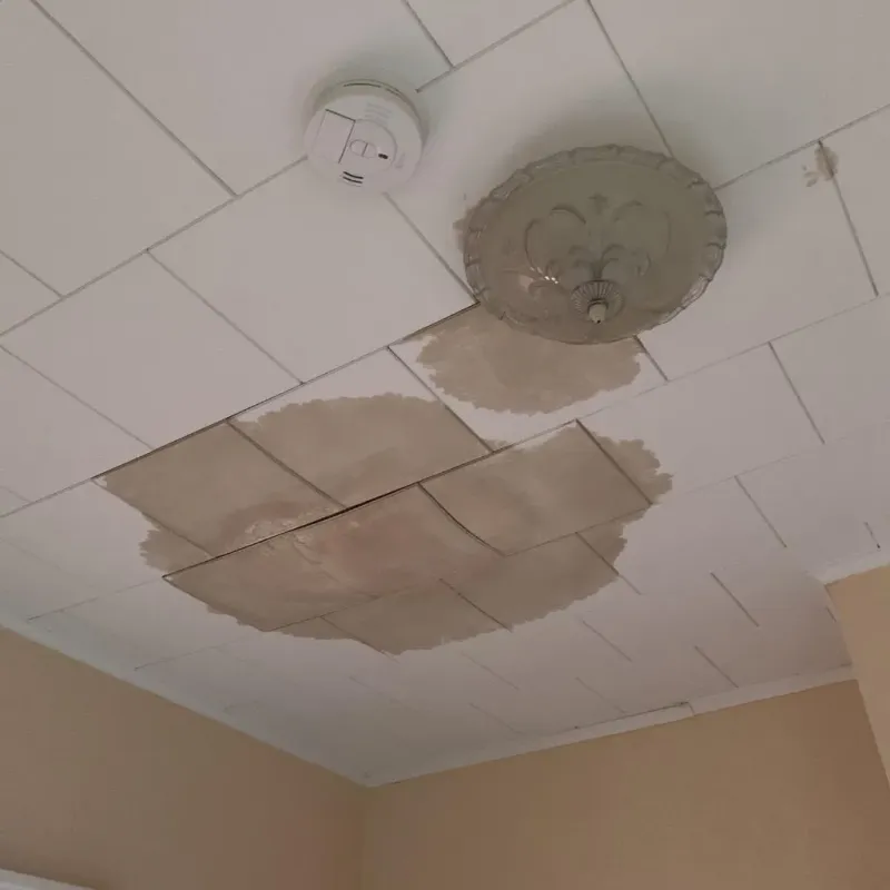 Ceiling Water Damage Repair in Pine, AZ